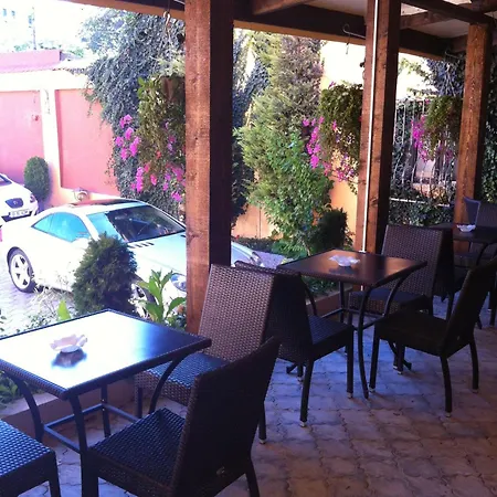 Voila Констанца