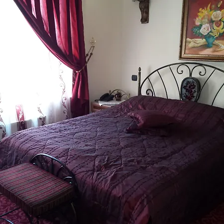 Voila * Констанца