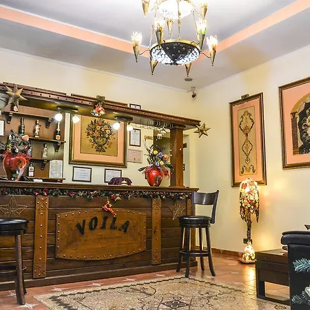 Voila Констанца