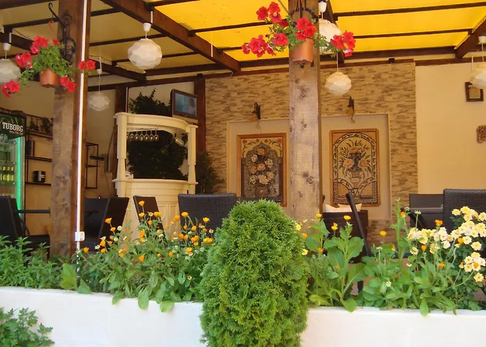 Voila コンスタンツァ