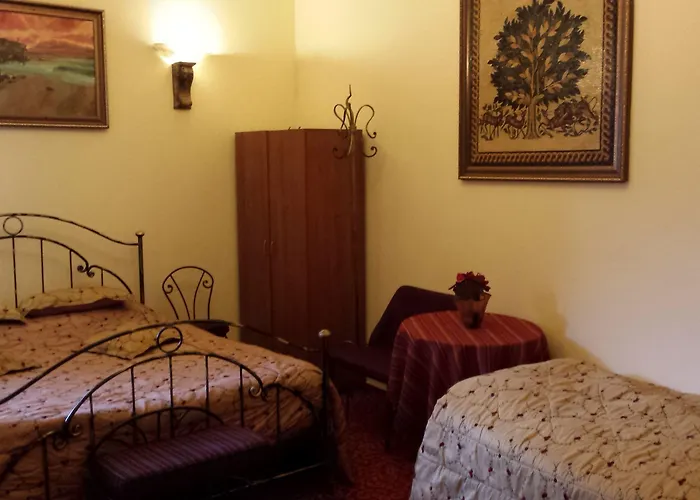 Voila コンスタンツァ