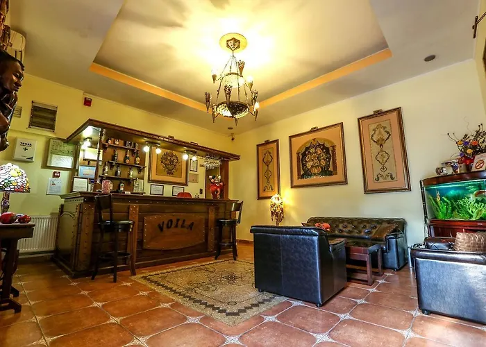 Voila * コンスタンツァ