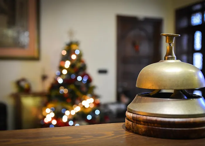 Voila コンスタンツァ