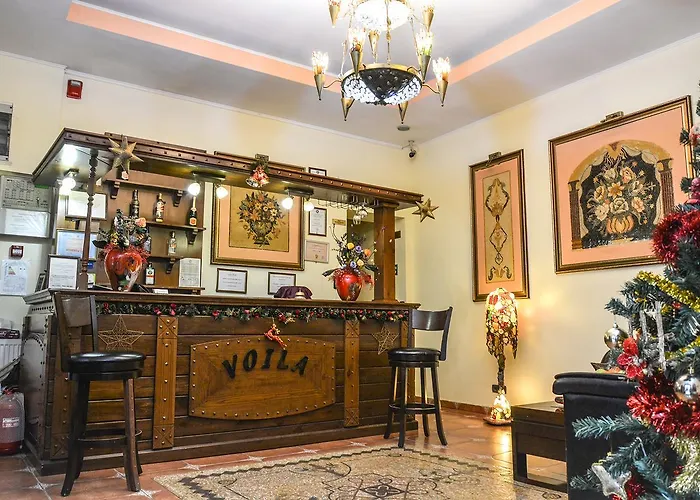 Voila コンスタンツァ